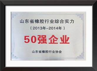 в число 50 лучших предприятий резиновой промышленности провинции Шаньдун